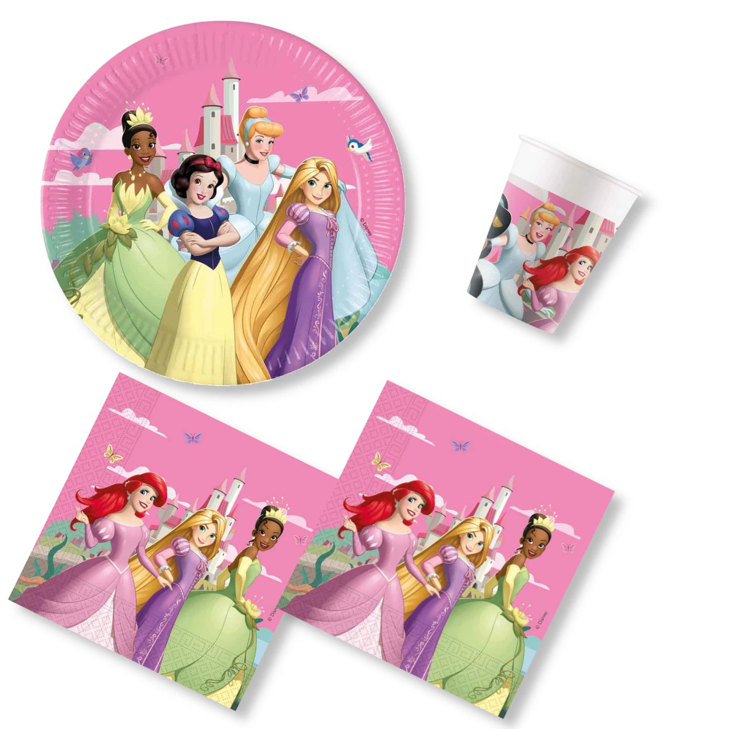 Anila's Disney Princess Party Pack for 16 people