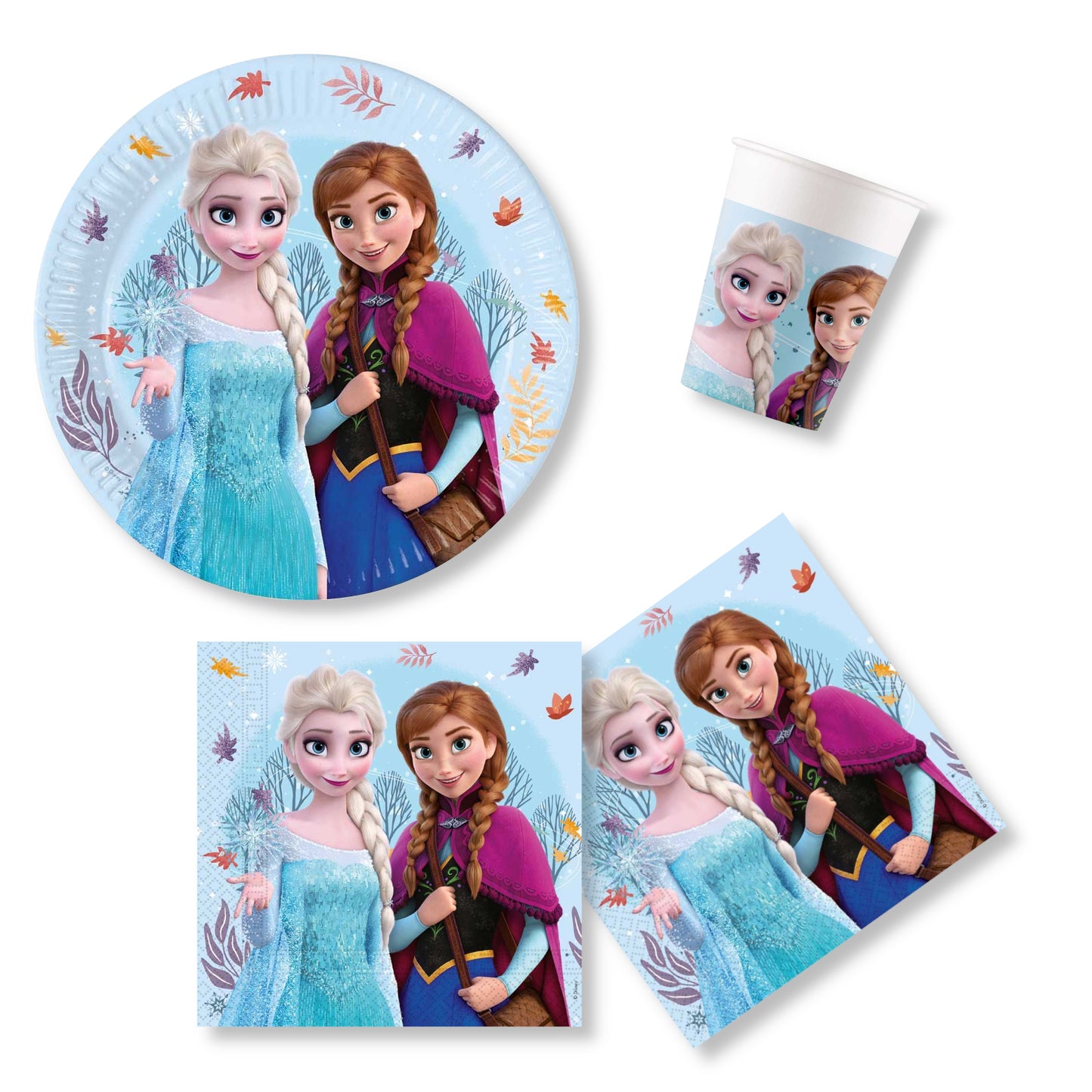 Anila's Frozen Idyllic Wonder Party Pack for 16 people