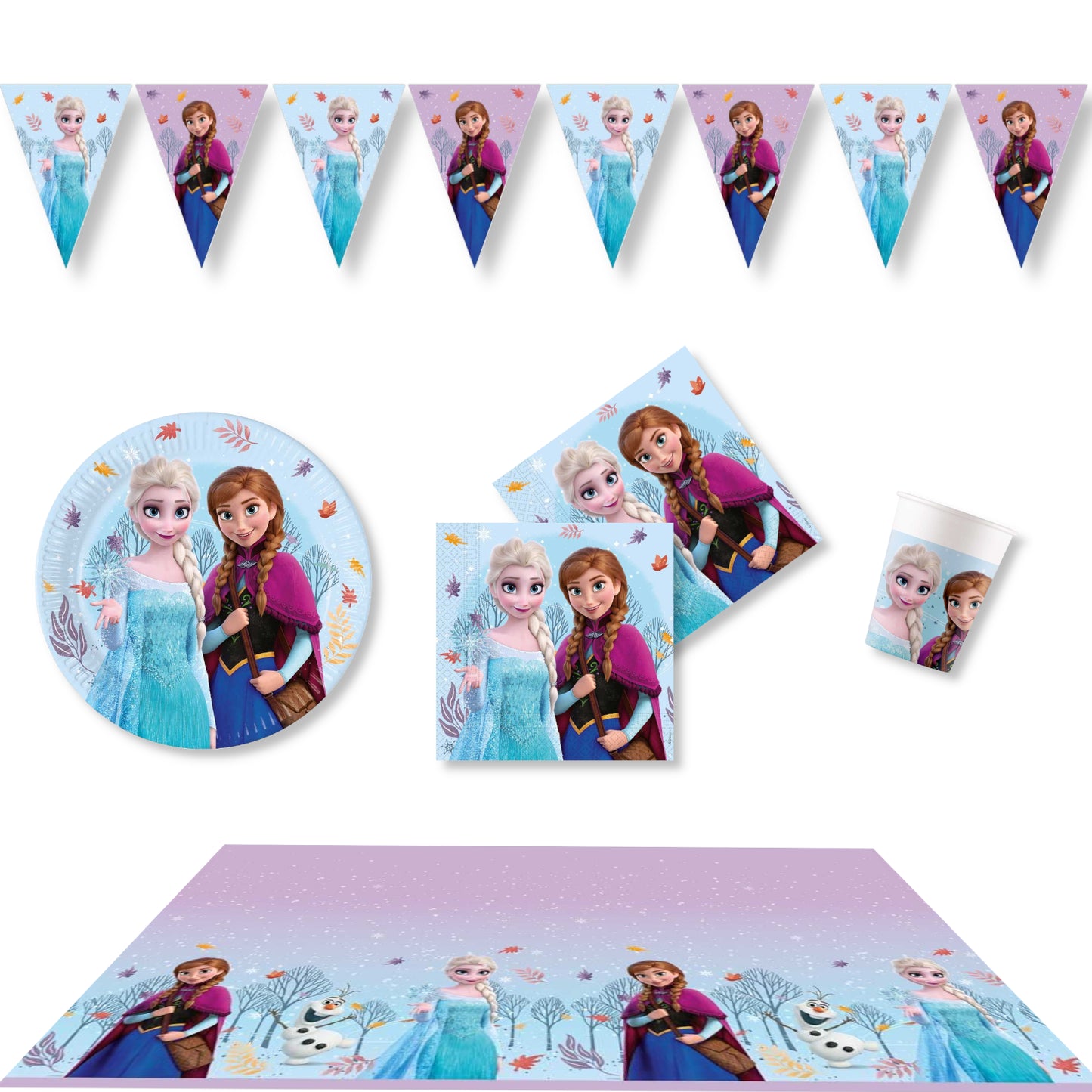 Anila's Frozen Idyllic Wonder Party Pack for 8 people