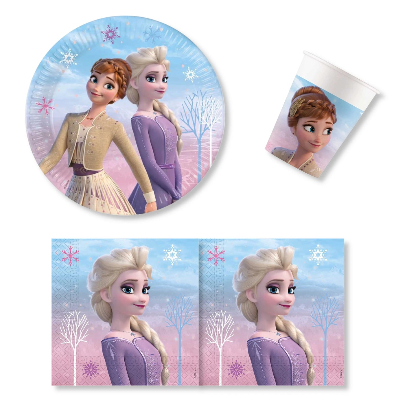 Anila's Frozen 2 Party Pack for 16 people - Anilas UK