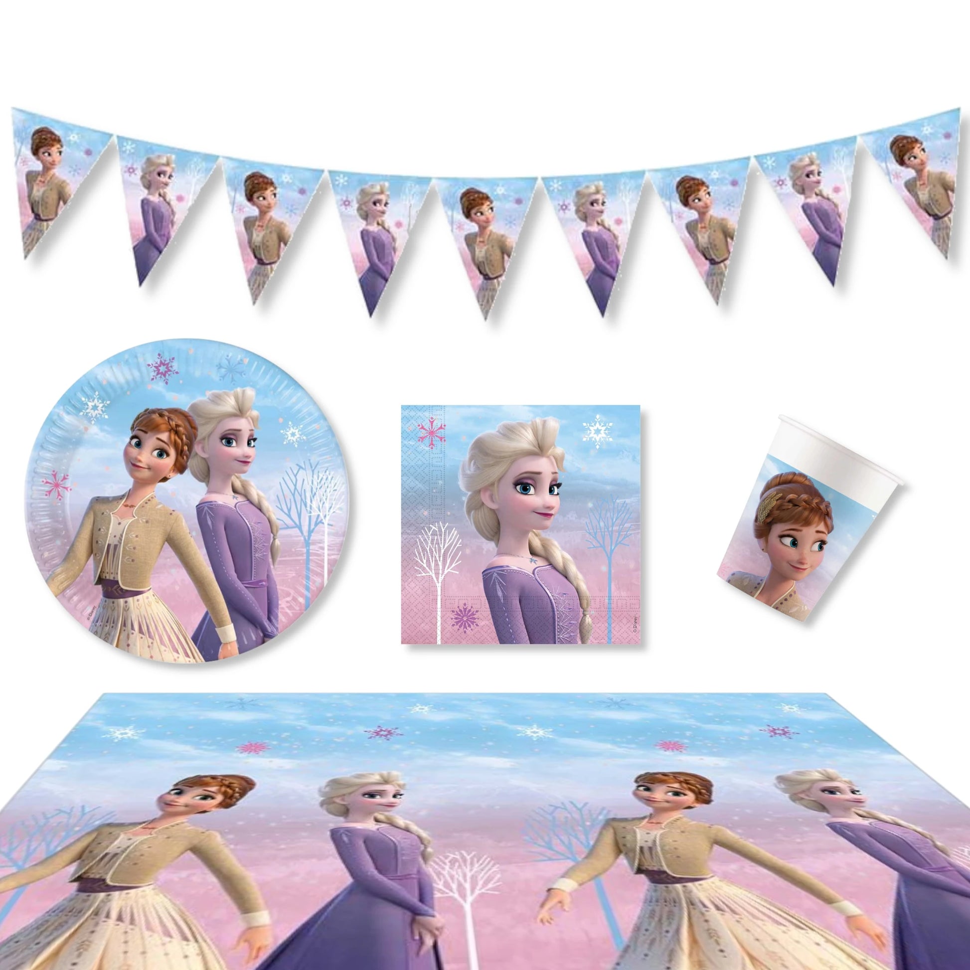 Anila's Frozen 2 Party Pack for 8 people - Anilas UK