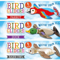 Gliders Birds