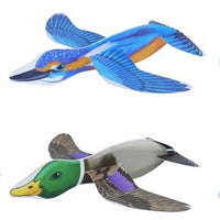 Gliders Birds