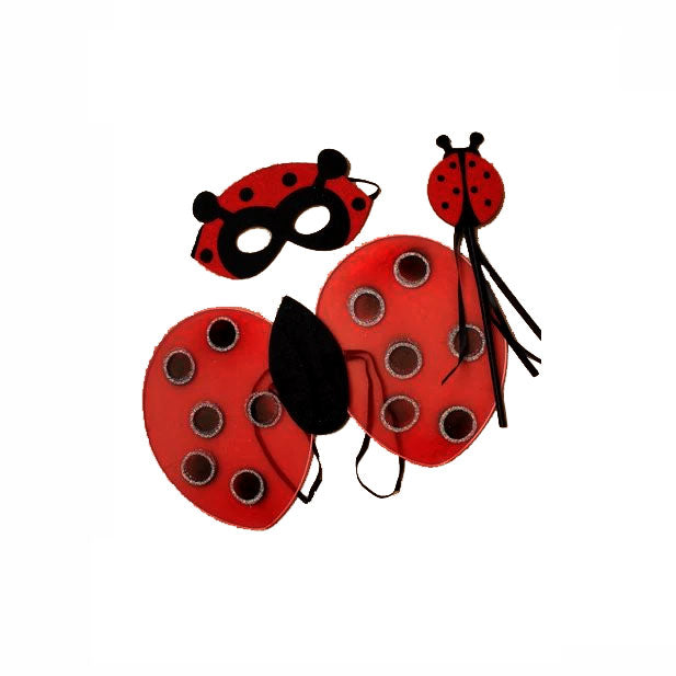Children's Ladybird Dressing Up Costume Set - Anilas UK