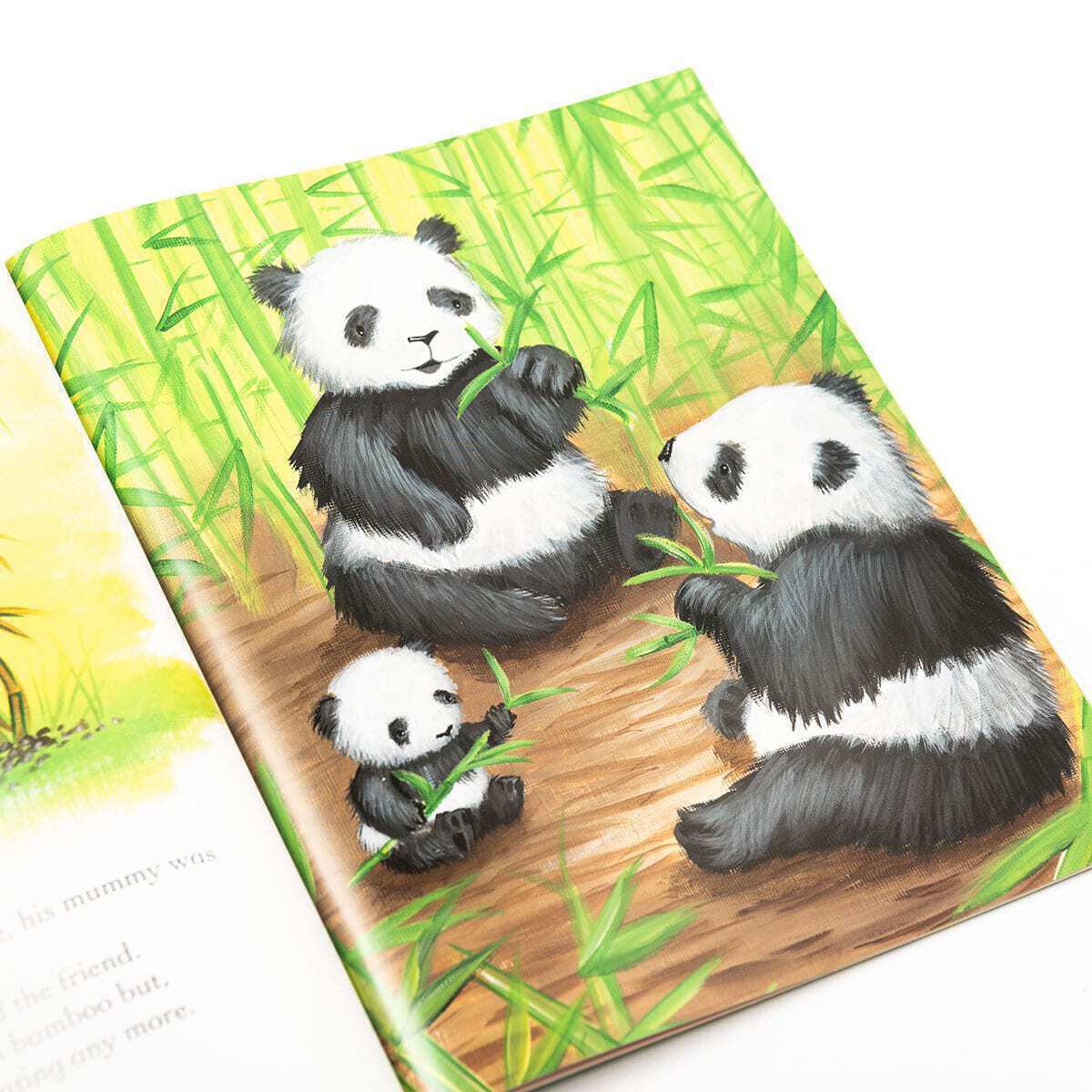 Lucky Bamboo Children's Picture Story Book - Anilas UK