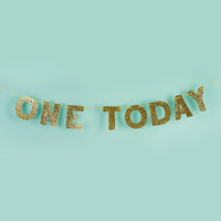 
              "One Today" Flag Banner - 2m
            