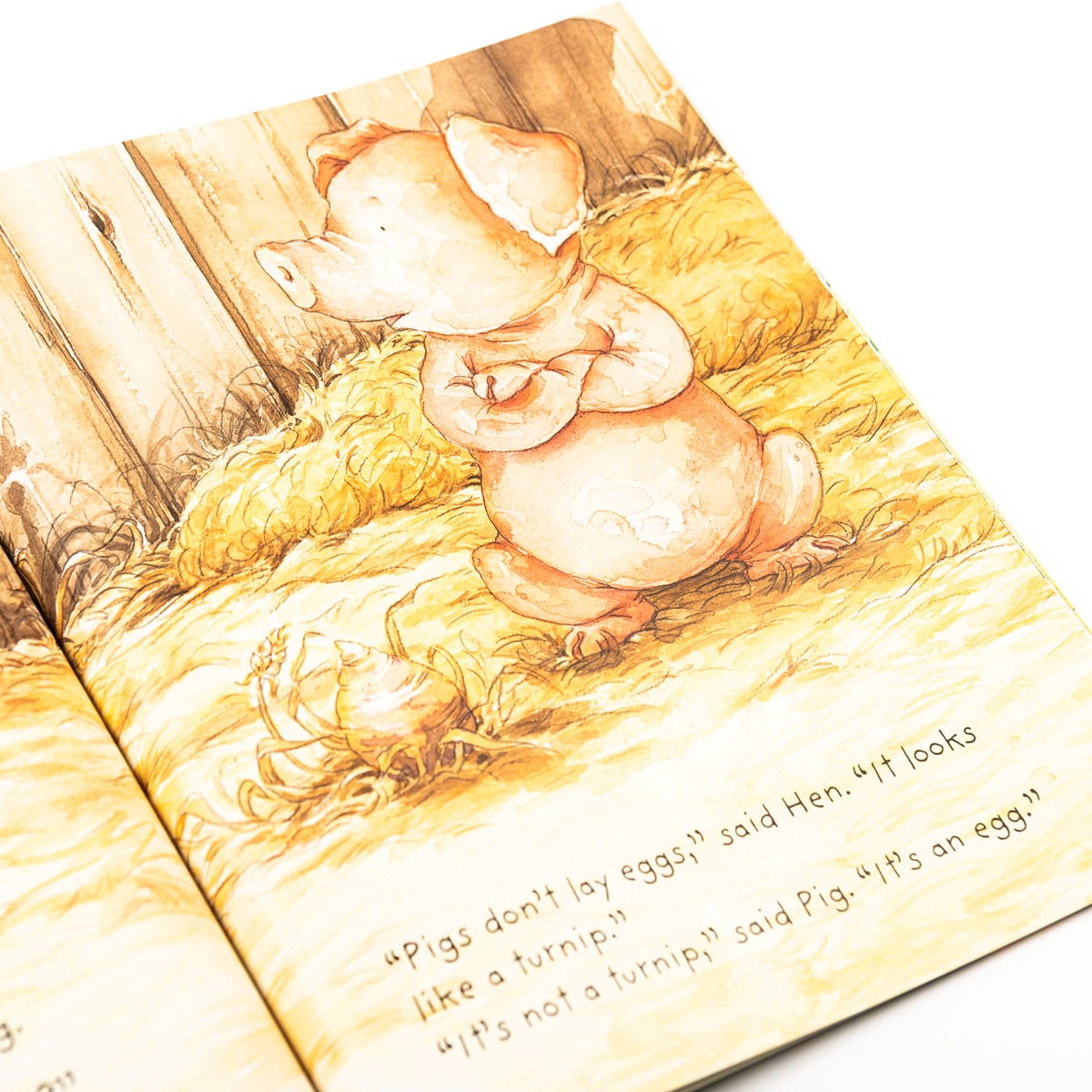 Pig's Egg Children's Picture Story Book - Anilas UK