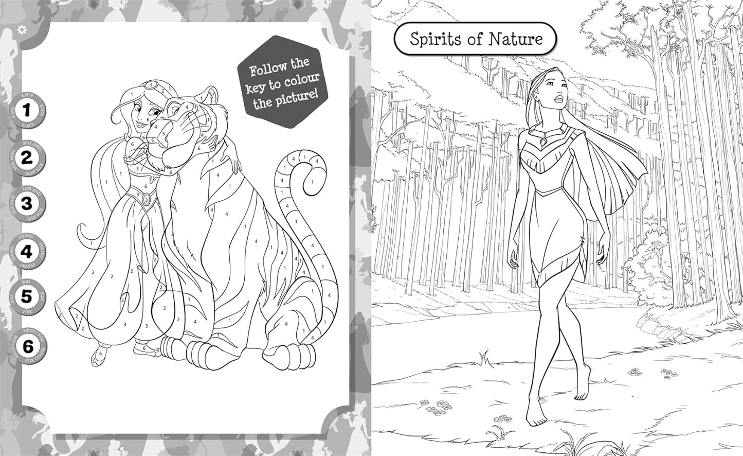 Variety of colouring types in Disney Princess 5 in 1 book