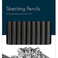 Graded Pencils - Sketching Draw Artist Crafts Art Shading (Pack of 12) - Anilas UK