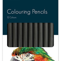 Supersoft Colouring Pencils (Pack of 12) - Anilas UK