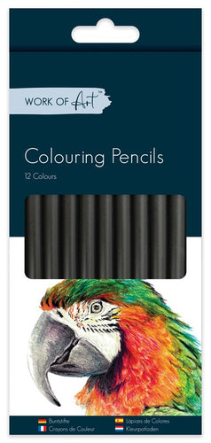 Supersoft Colouring Pencils (Pack of 12) - Anilas UK