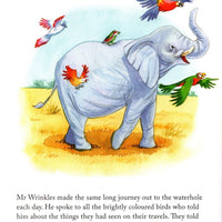 Mr Wrinkles Picture Book - Anilas UK