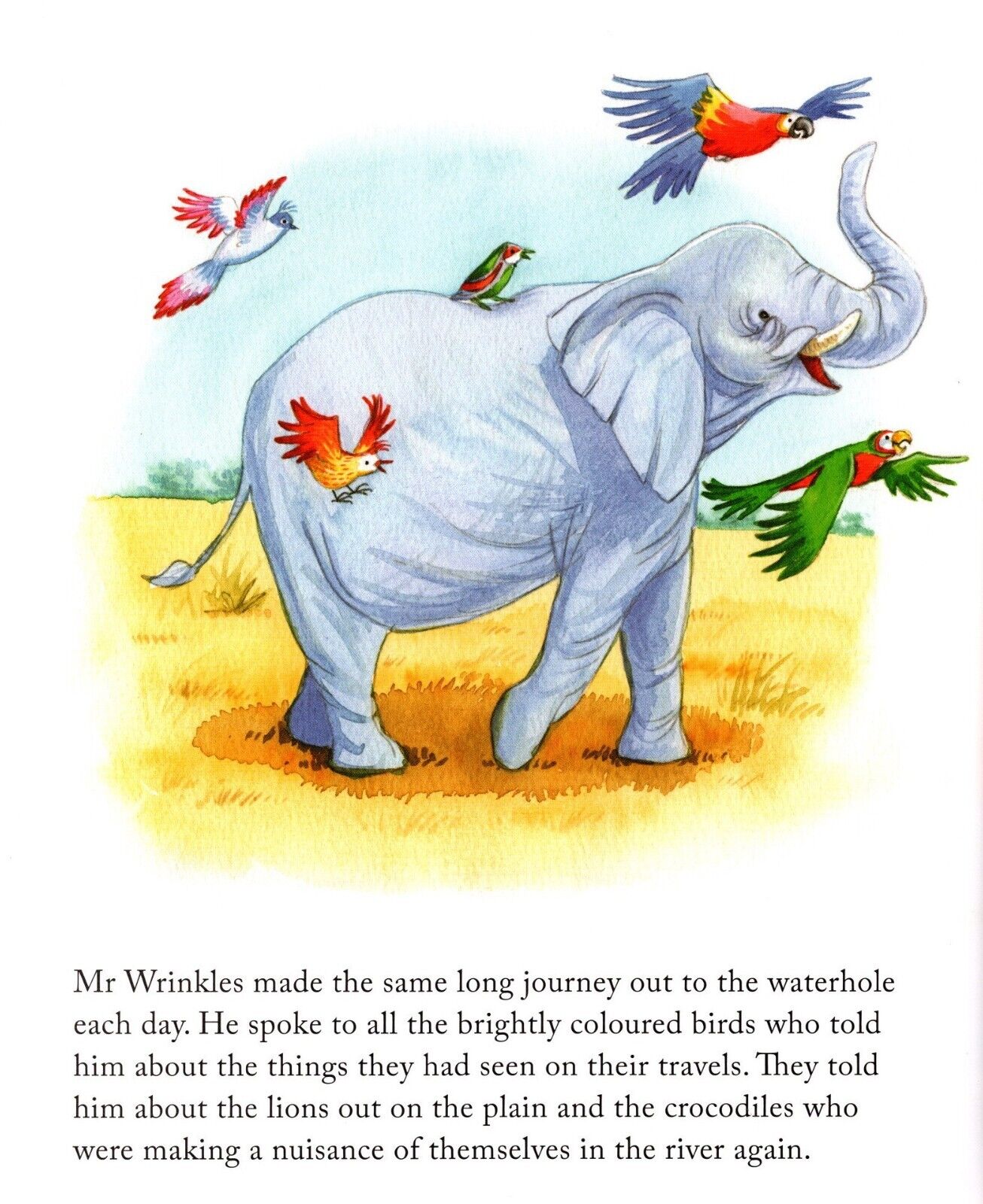 Mr Wrinkles Children's Picture Story Book - Anilas UK