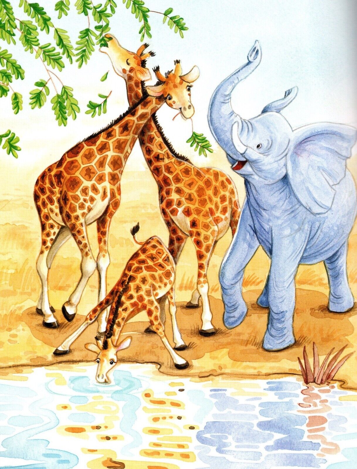 Mr Wrinkles Children's Picture Story Book - Anilas UK