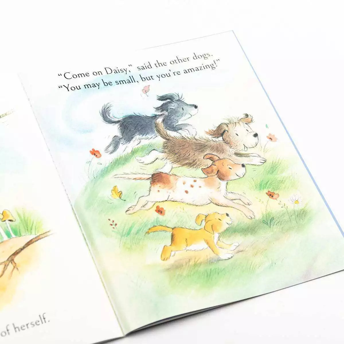 Daisy Saves The Day Children's Picture Story Book - Anilas UK