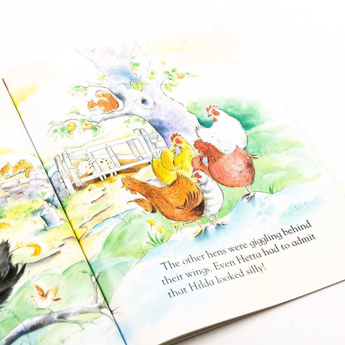 Hen's Feathers Children's Picture Story Book - Anilas UK