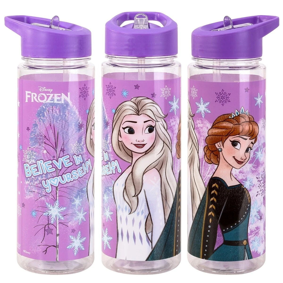 Disney Frozen Anna & Elsa Believe In Yourself Flip-Top Water Bottle 700ml - Anilas UK