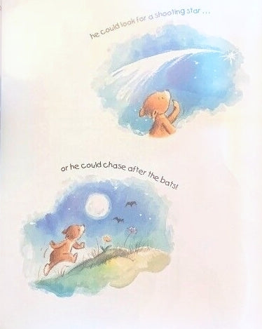 Little Bear Won't Sleep Children's Picture Story Book - Anilas UK