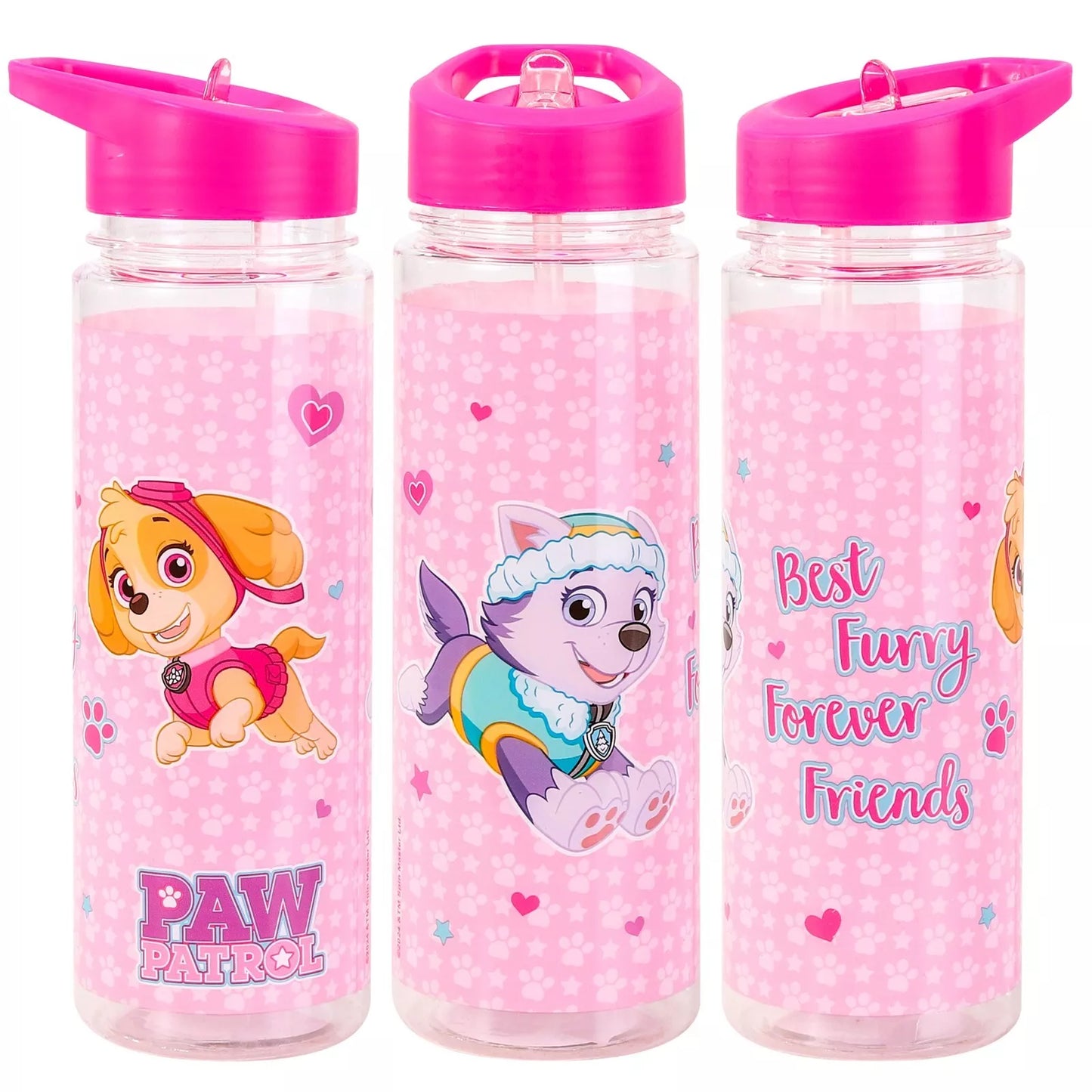 Paw Patrol Skye & Everest 700ml Kids Water Bottle with Straw & Handle