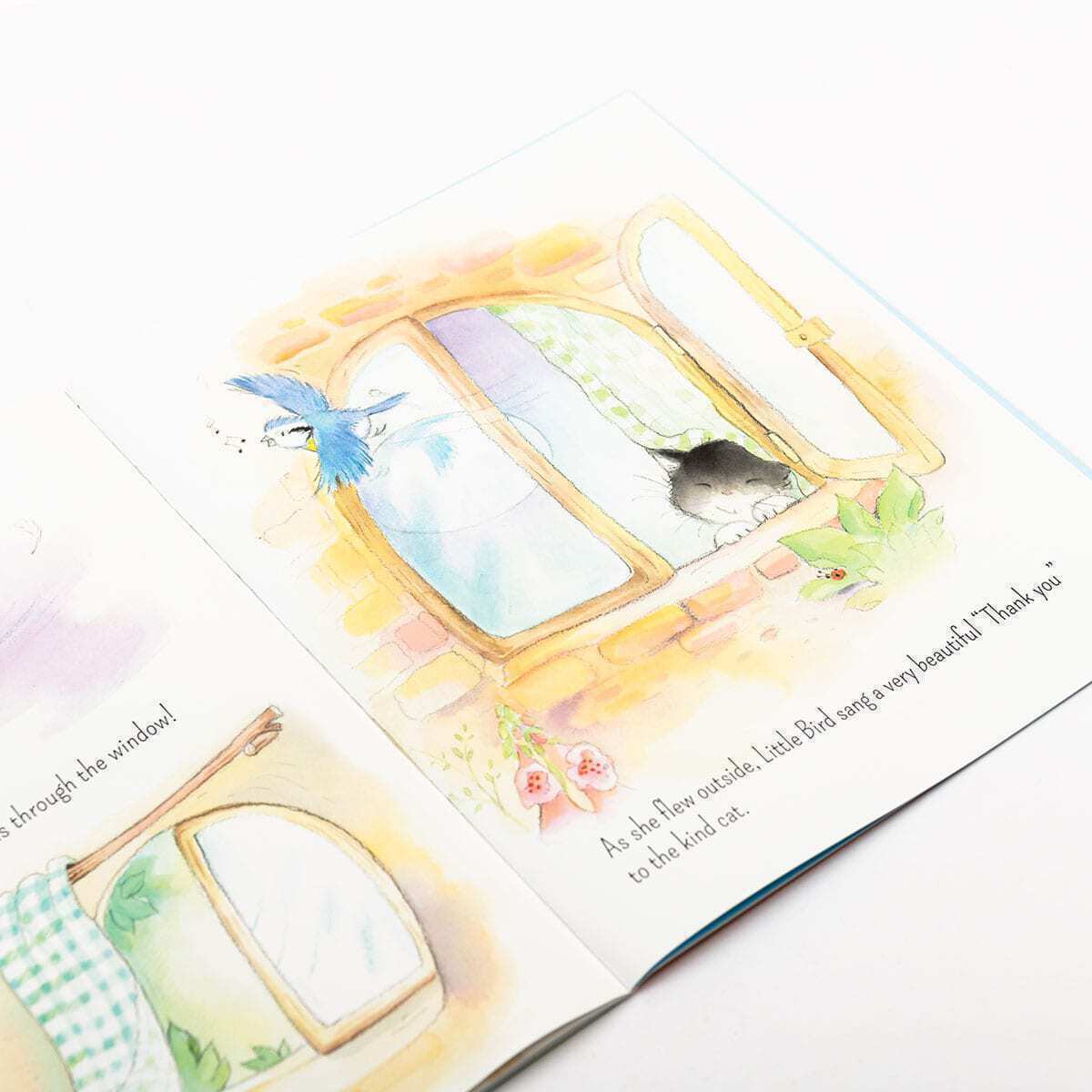 Little Bird Finds Her Voice Children's Picture Story Book - Anilas UK