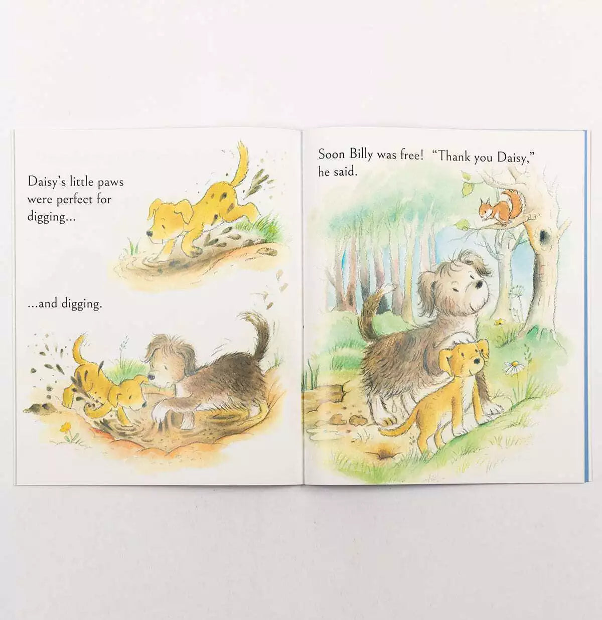 Daisy Saves The Day Children's Picture Story Book - Anilas UK