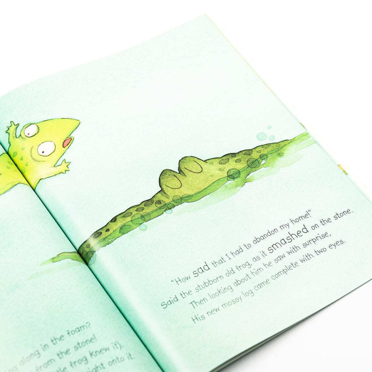 Frog On The Log Children's Picture Story Book - Anilas UK