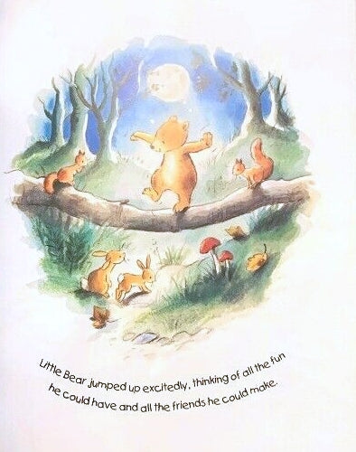 Little Bear Won't Sleep Children's Picture Story Book - Anilas UK