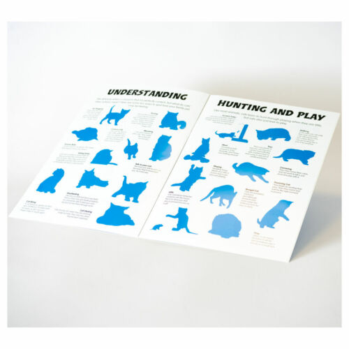 Animal Detectives Cats Sticker Book - Anilas UK