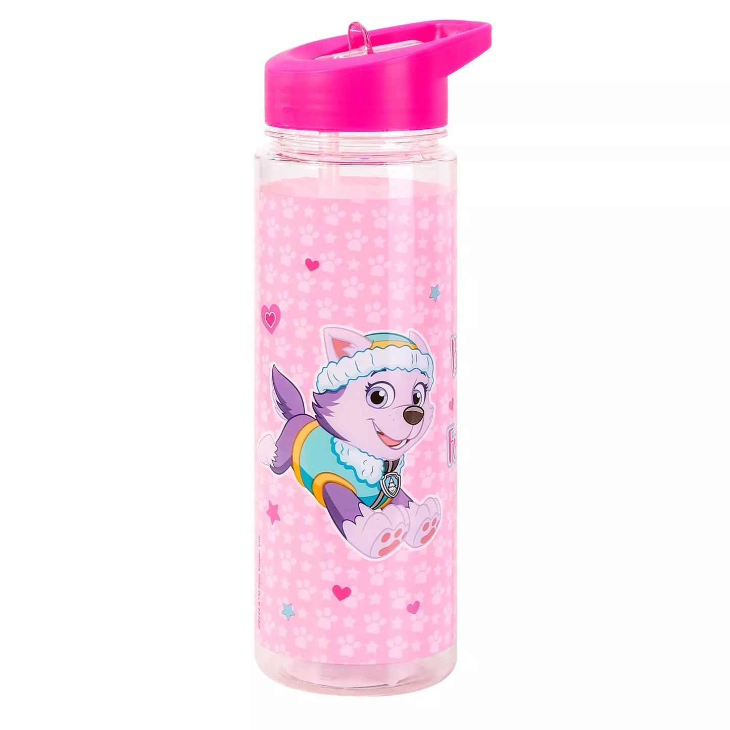 Paw Patrol Skye & Everest 700ml Bottle front view – pink pups & straw ready for rescue rucksacks!