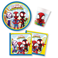
              Anila's Spidey Party Pack for 16 people - Anilas UK
            