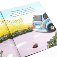 Toad's Road Code Picture Book - Anilas UK