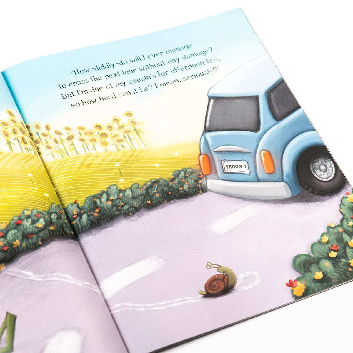 Toad's Road Code Children's Picture Story Book - Anilas UK