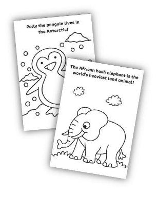My Amazing World Colouring Book - Anilas UK