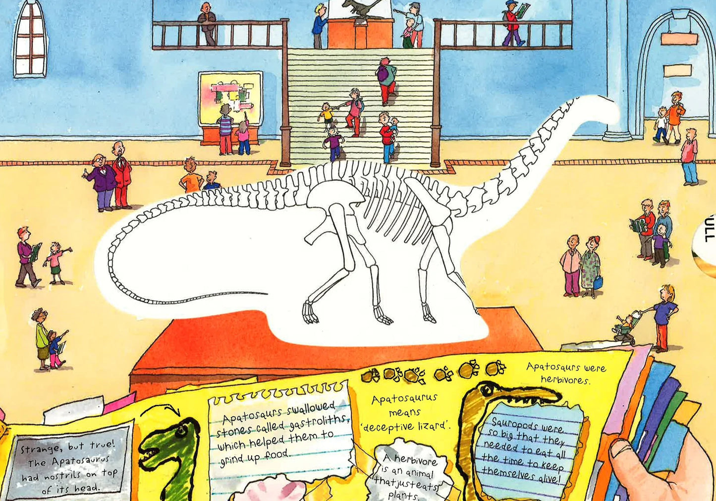 Amazing Dinosaur Discovery (A Magic Skeleton Book) - Anilas UK