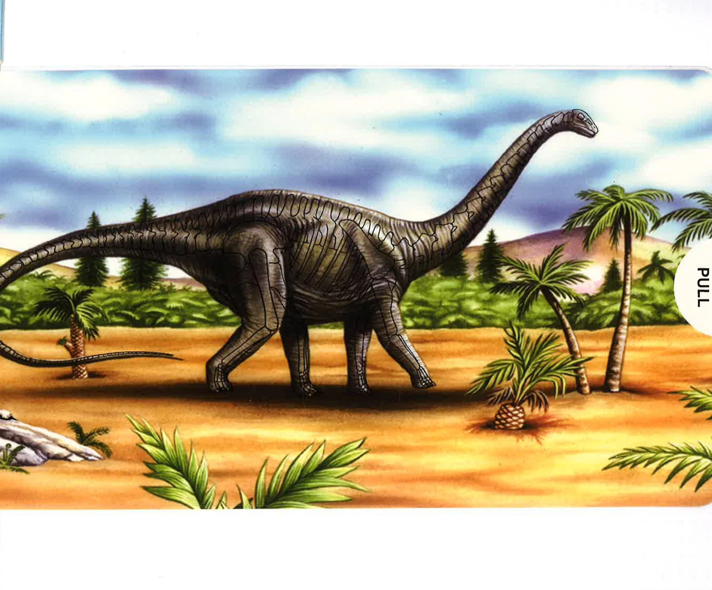 Amazing Dinosaur Discovery (A Magic Skeleton Book) - Anilas UK