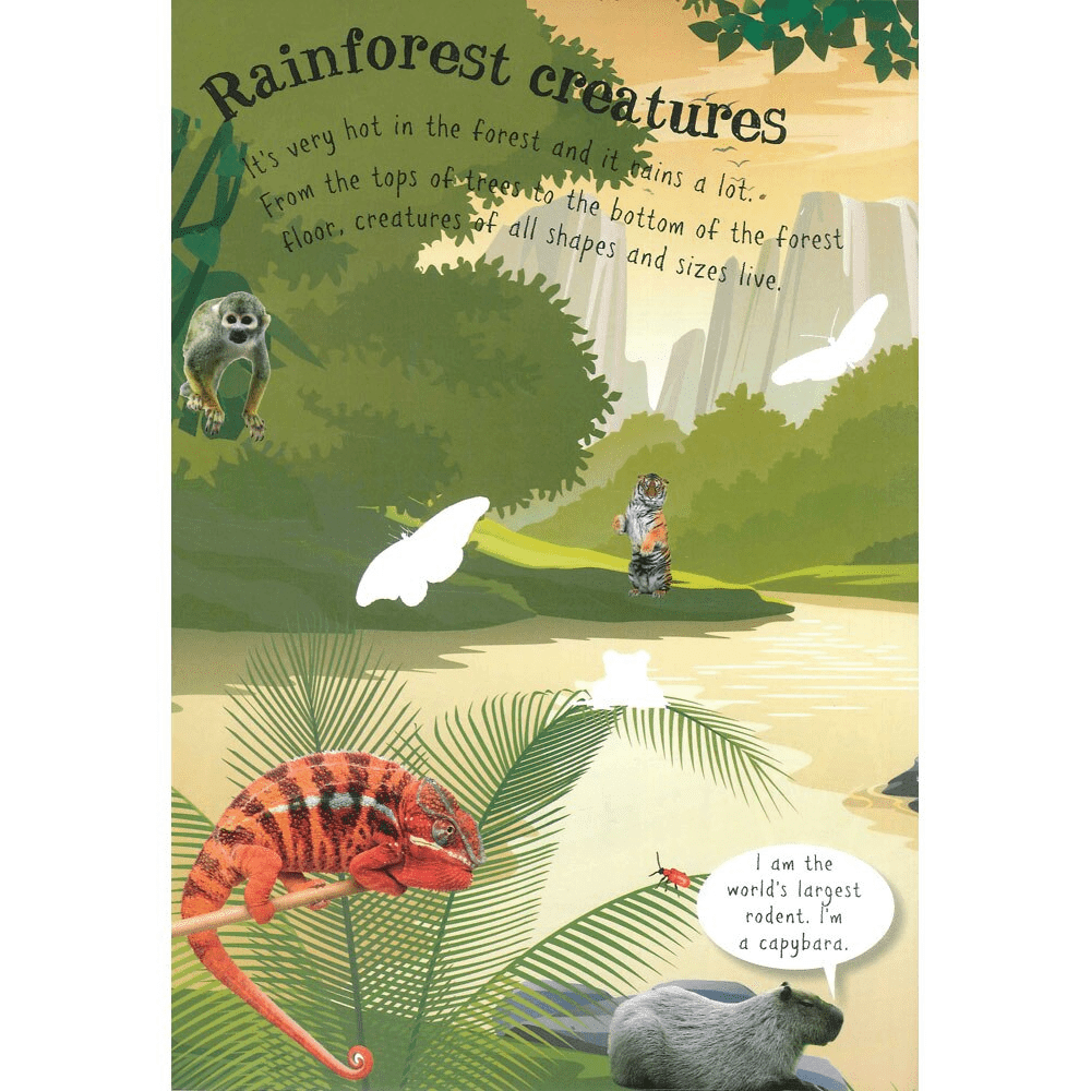 In The Wild Sticker Activity Book - Anilas UK