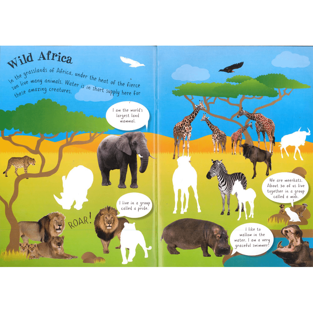 In The Wild Sticker Activity Book - Anilas UK