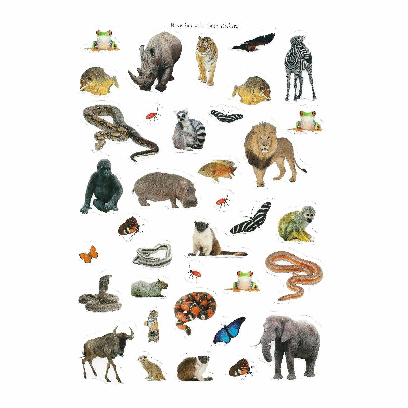 In The Wild Sticker Activity Book - Anilas UK