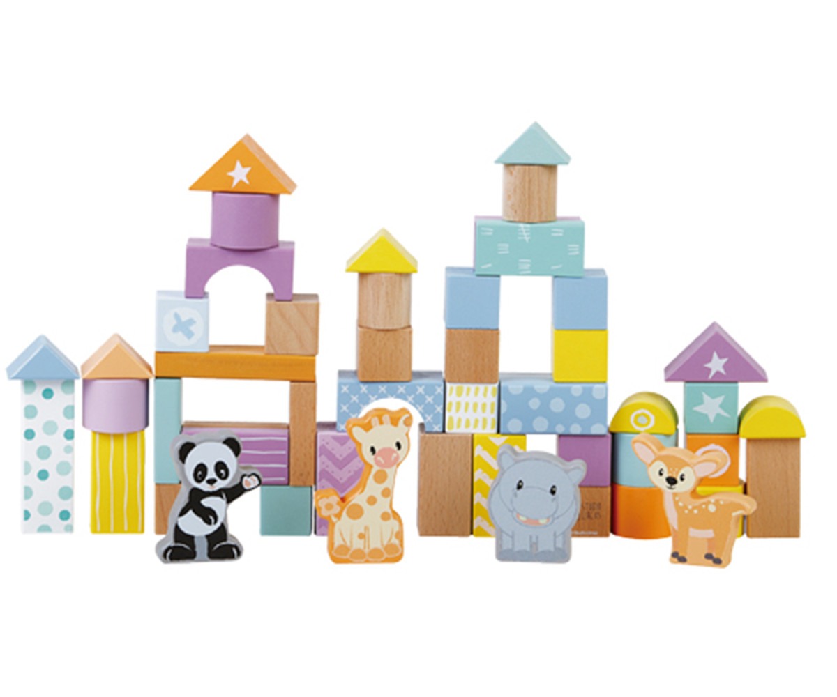 50pcs Block Set (Studio Circus) - Anilas UK