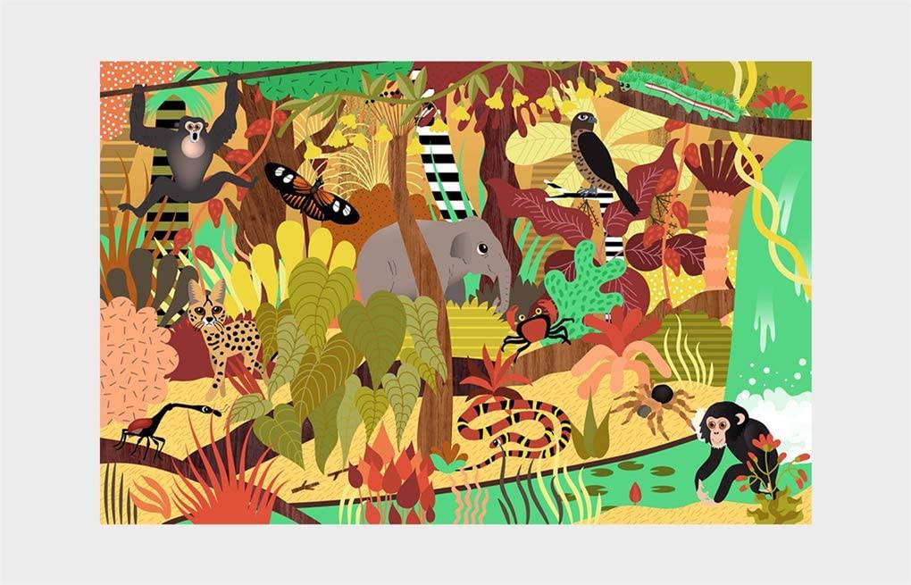 Who's Hiding in the Jungle? : A Spot and Match Game - Anilas UK