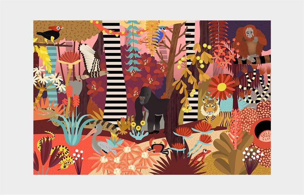 Who's Hiding in the Jungle? : A Spot and Match Game - Anilas UK