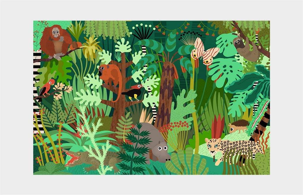 Who's Hiding in the Jungle? : A Spot and Match Game - Anilas UK
