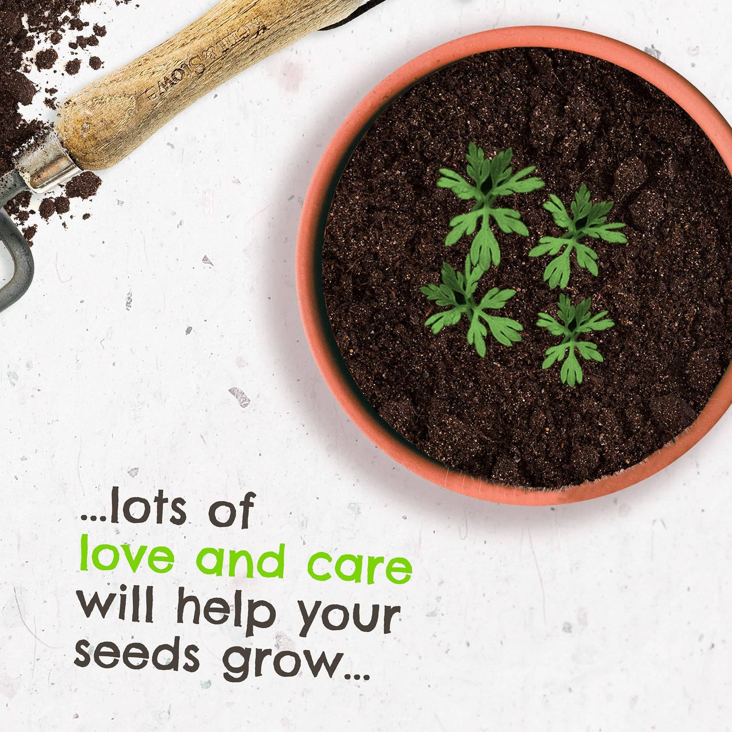 Willsow's The Plantable Children's Book - The Carrot Who Was Too Big For His Bed - Anilas UK