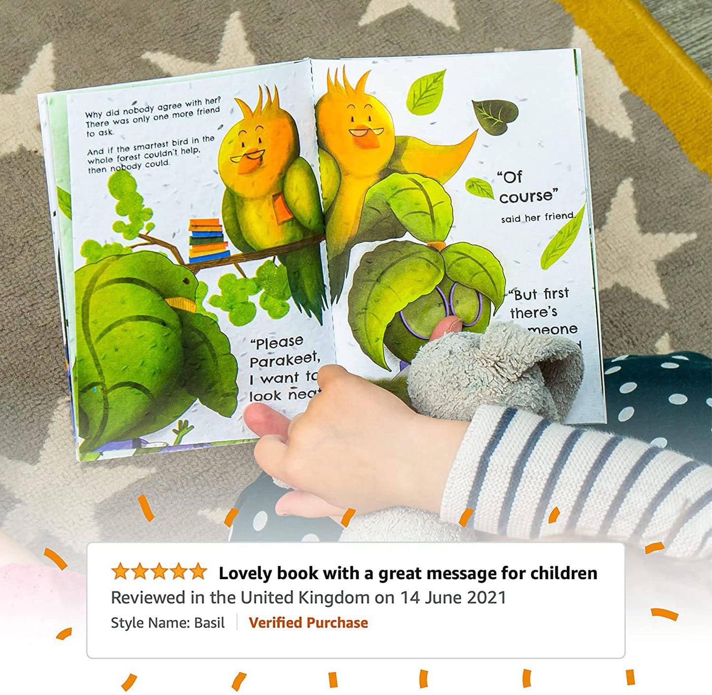 Willsow's The Plantable Children's Book - The Lettuce Who Wanted A New Look - Anilas UK