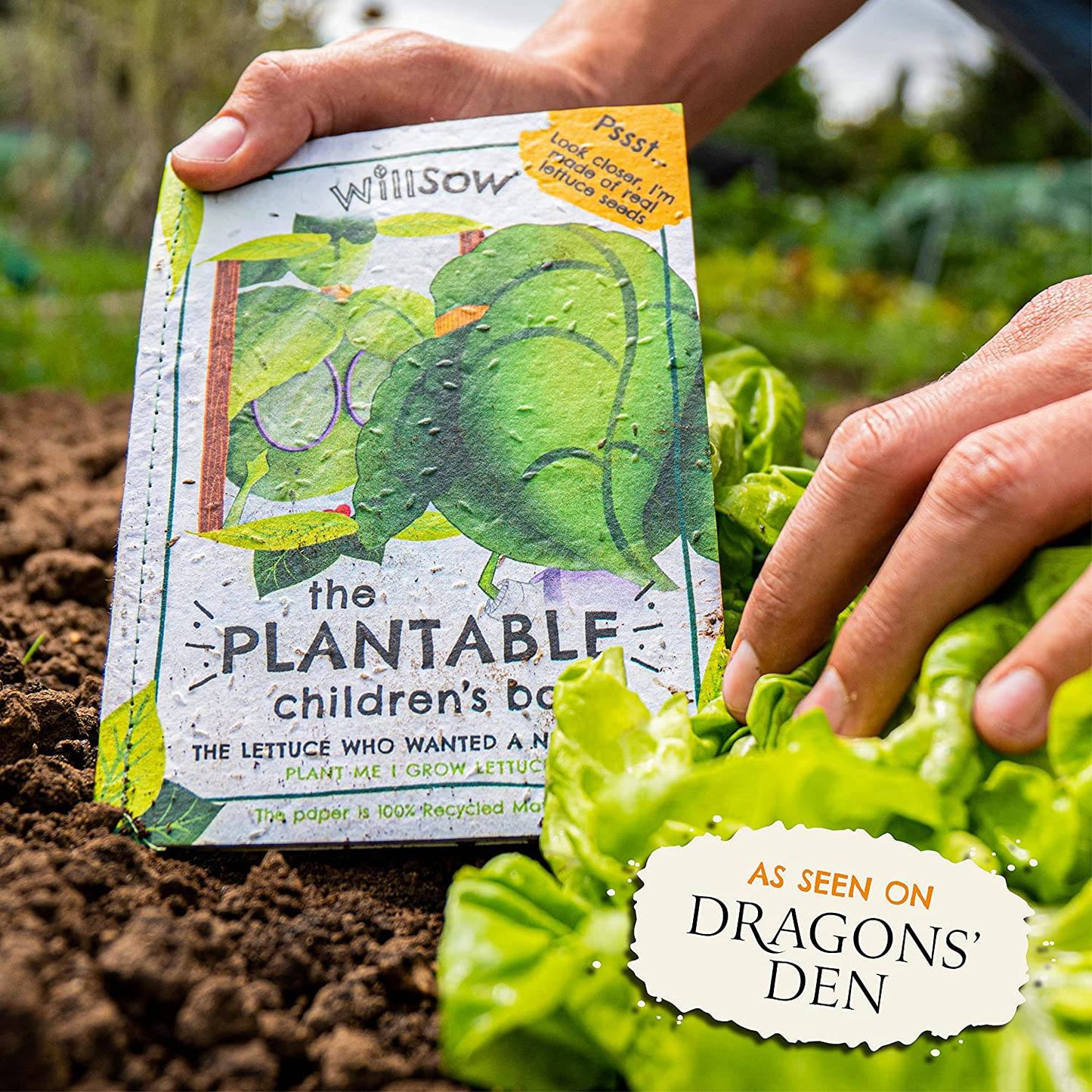 Willsow's The Plantable Children's Book - The Lettuce Who Wanted A New Look - Anilas UK