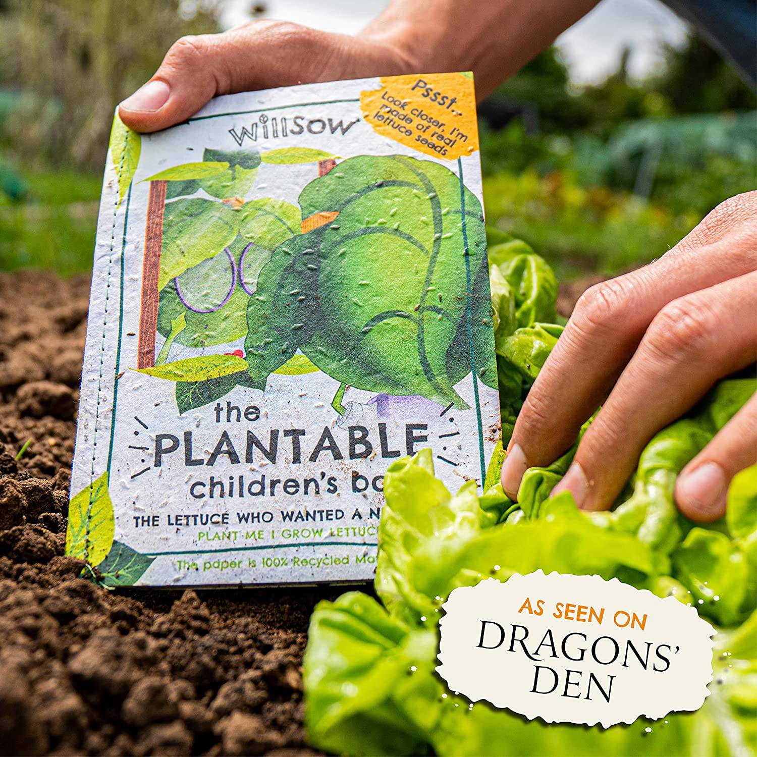Willsow's The Plantable Children's Book - The Lettuce Who Wanted A New Look - Anilas UK
