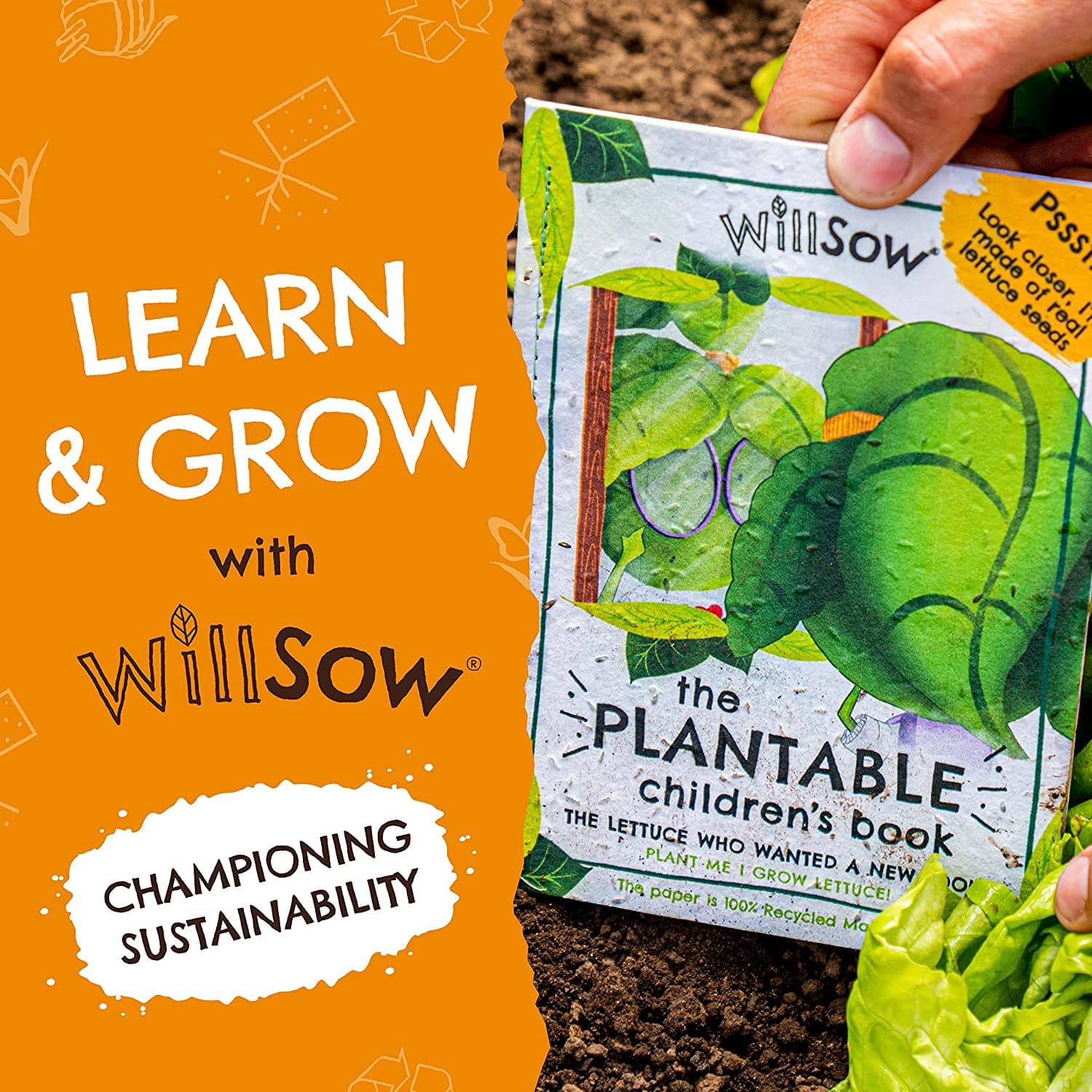 Willsow's The Plantable Children's Book - The Lettuce Who Wanted A New Look - Anilas UK