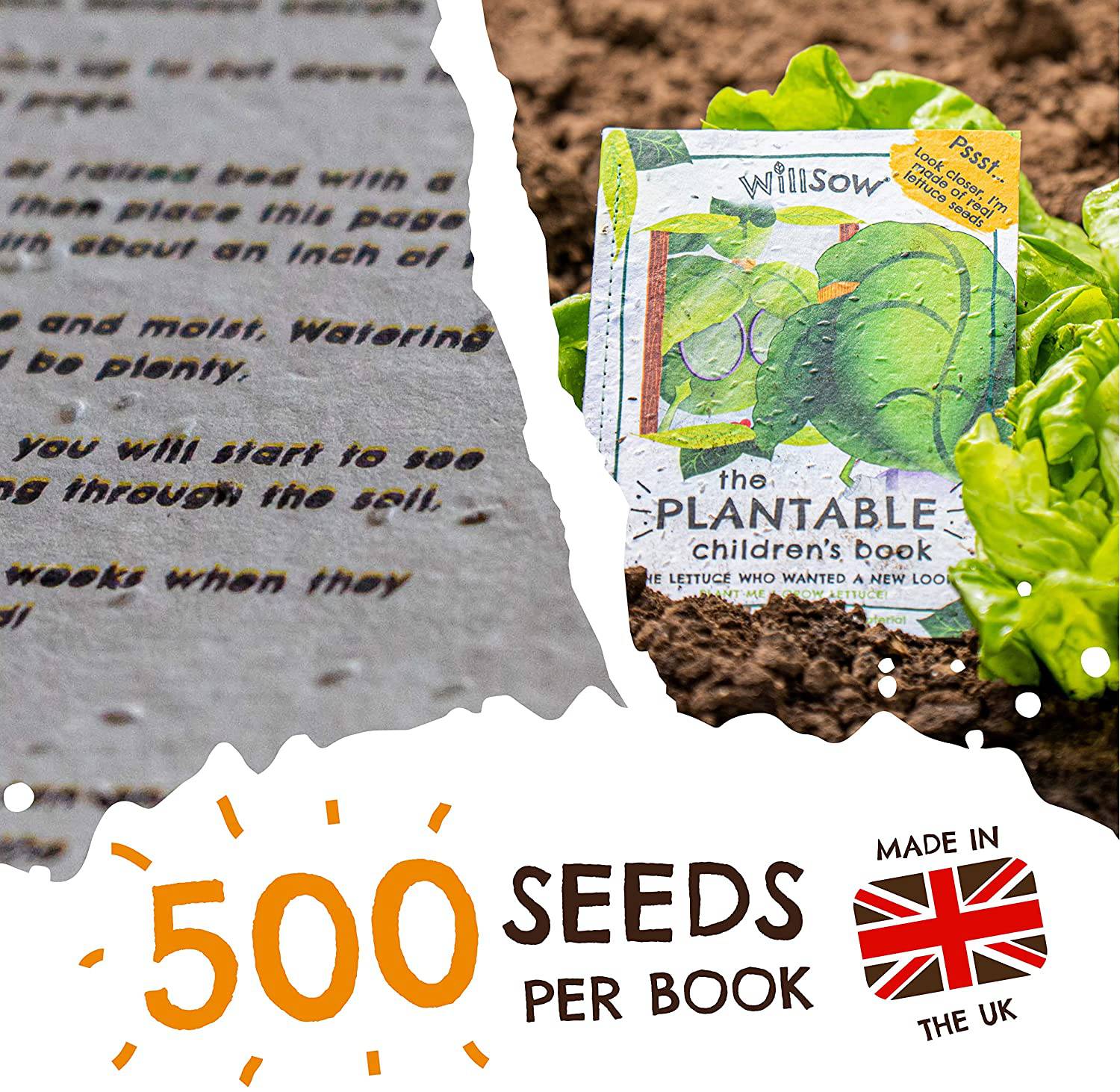 Willsow's The Plantable Children's Book - The Lettuce Who Wanted A New Look - Anilas UK