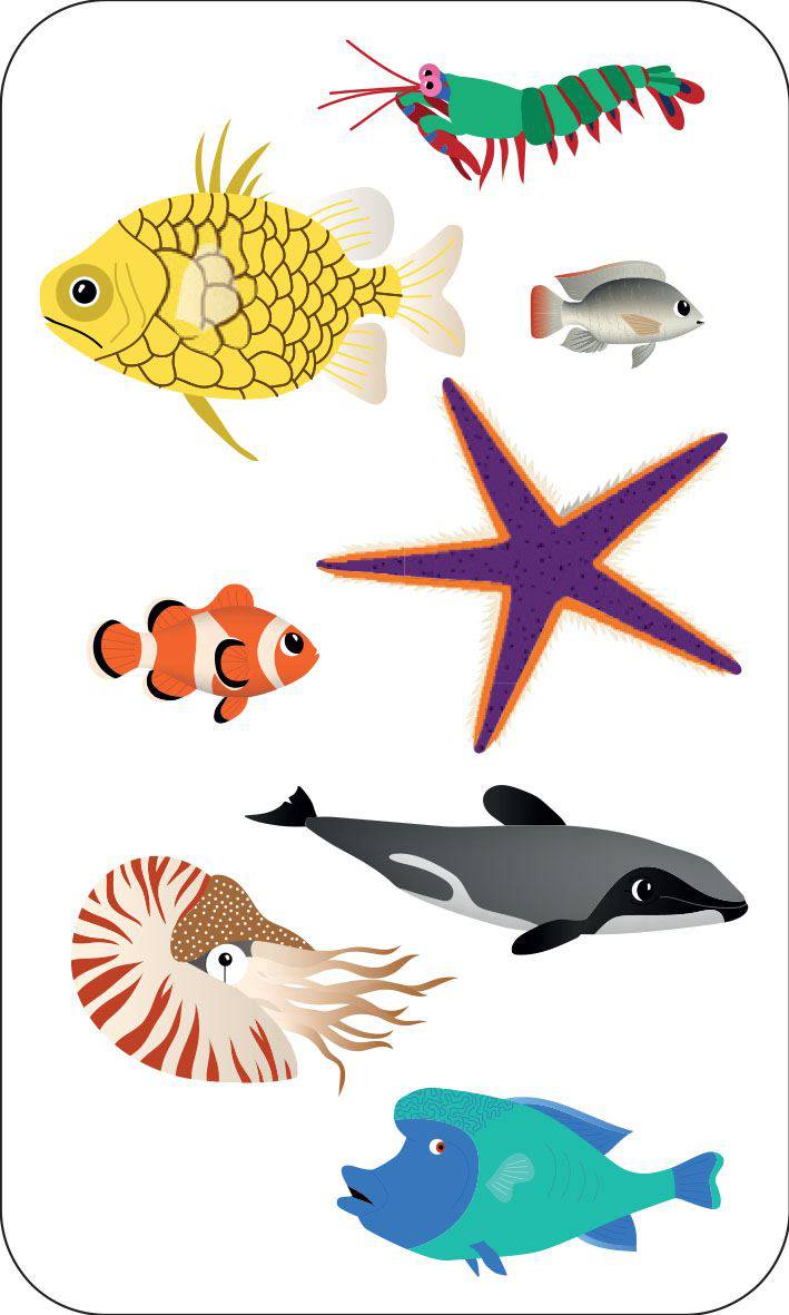 Who's Hiding in the Ocean? : A Spot and Match Game - Anilas UK