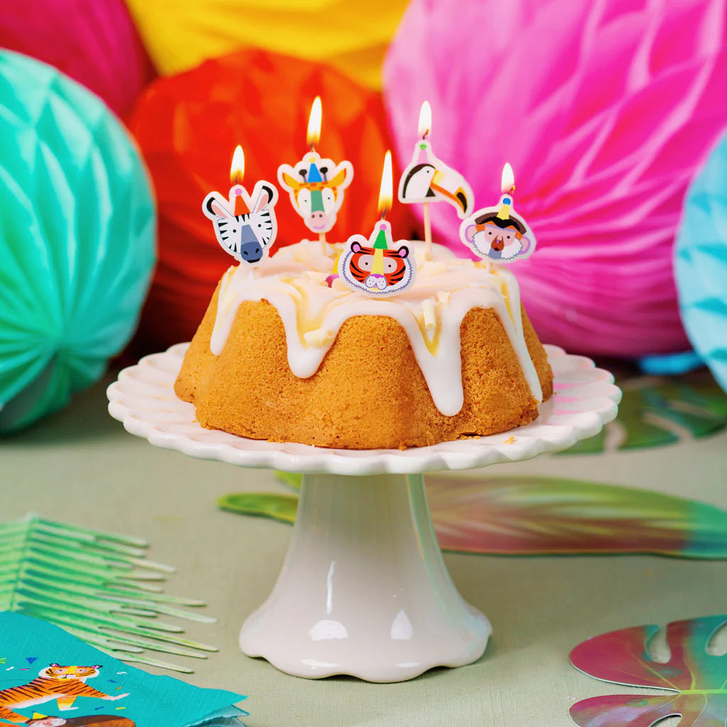 Pack of 5 Party Animals Candles - Anilas UK